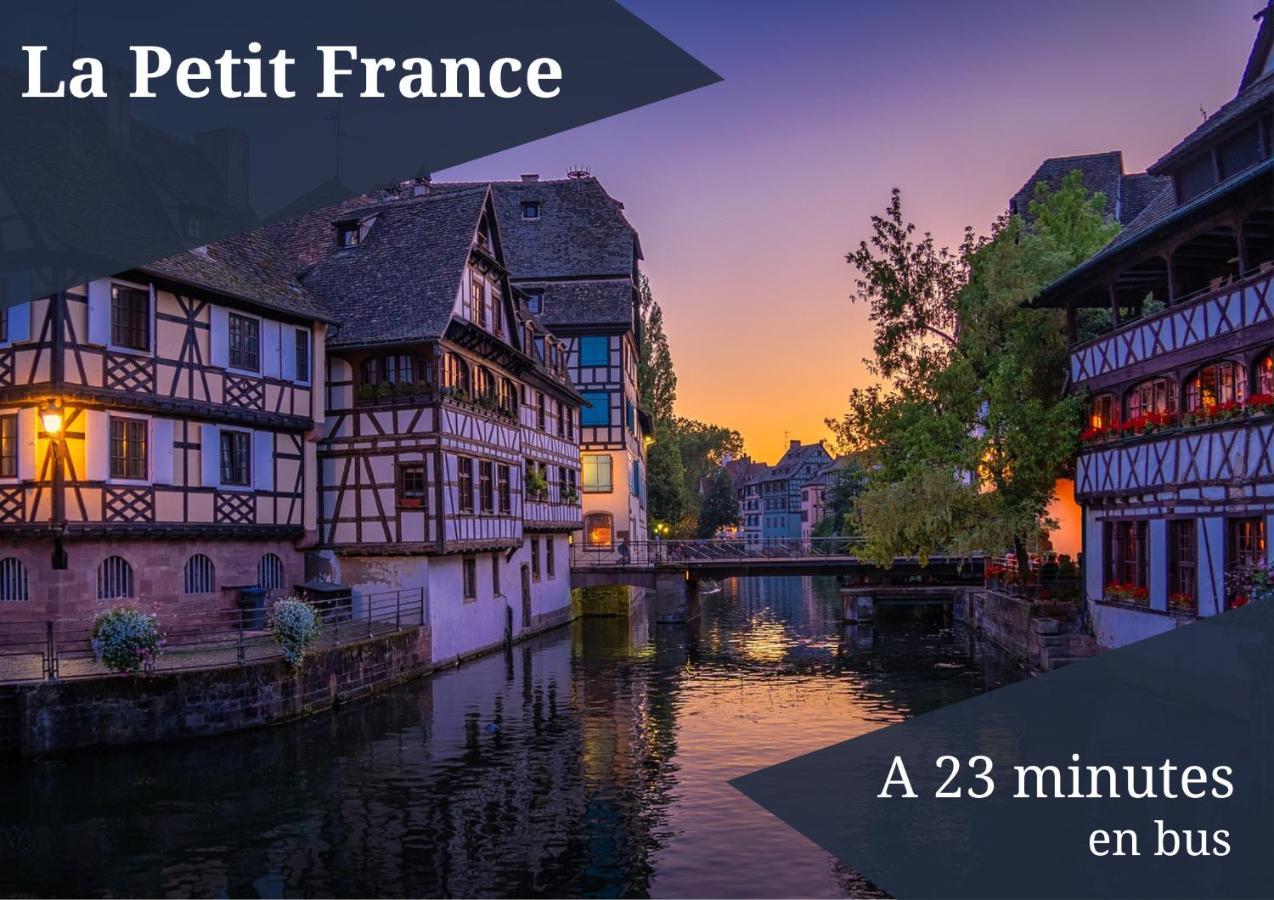 Le Reve Bleu - Golden Tree - Wifi - 15Min Centre Ville De Strasbourg Schiltigheim Εξωτερικό φωτογραφία